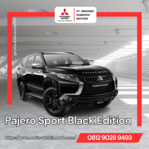 Pajro Sport Black Edition
