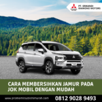 Cara Membersihkan Jamur