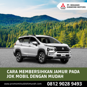 Cara Membersihkan Jamur
